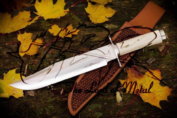 Fixed Blade Bowie Knife