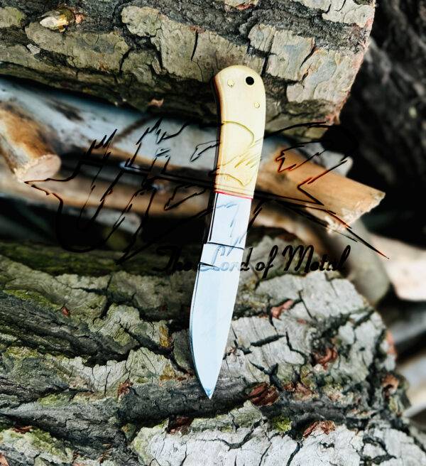 Custom Handmade D2 Steel Hunting Skinner Knife with Camel Bone Handle - Image 2